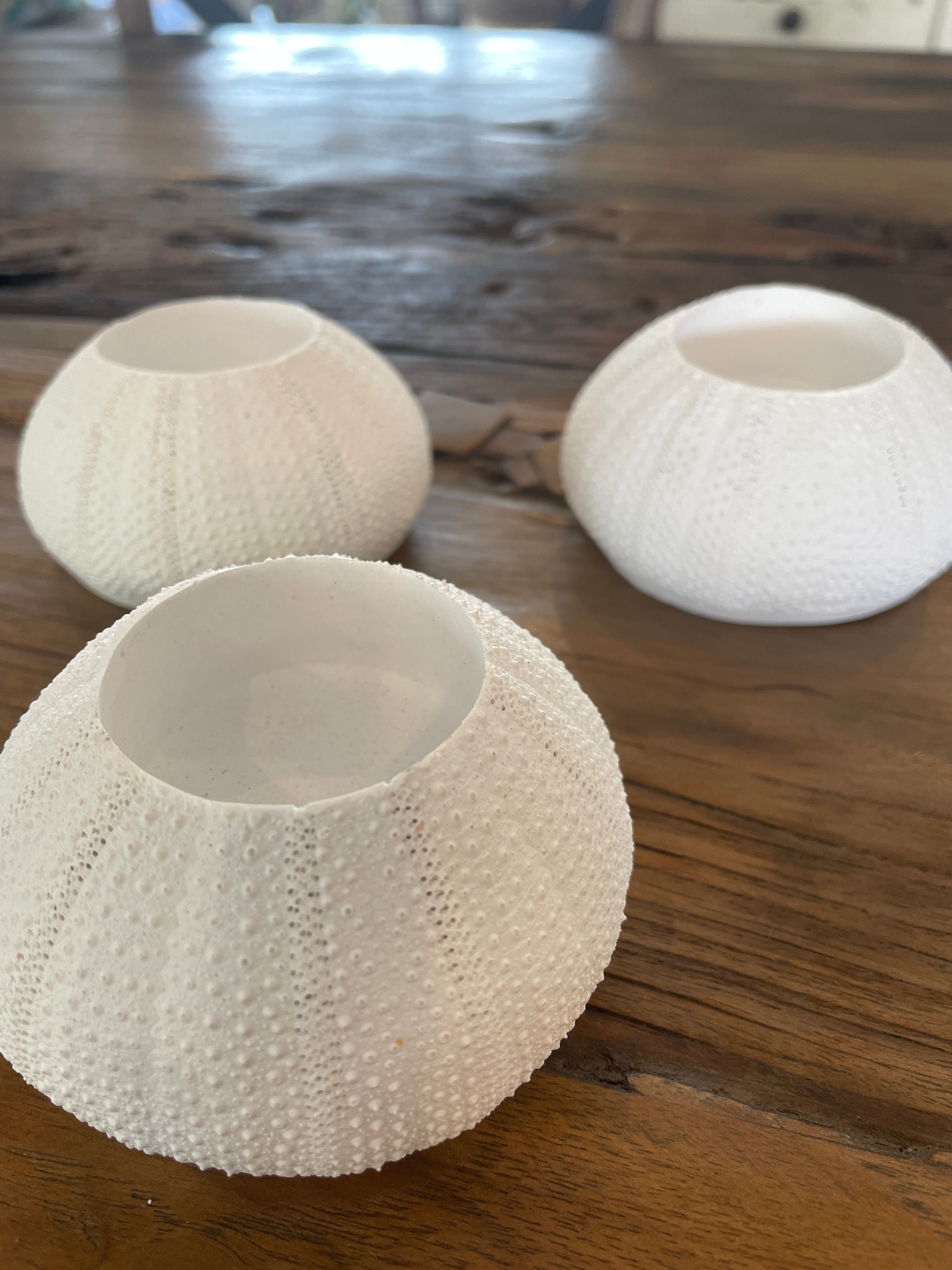 White Sea Urchin Tea Lights