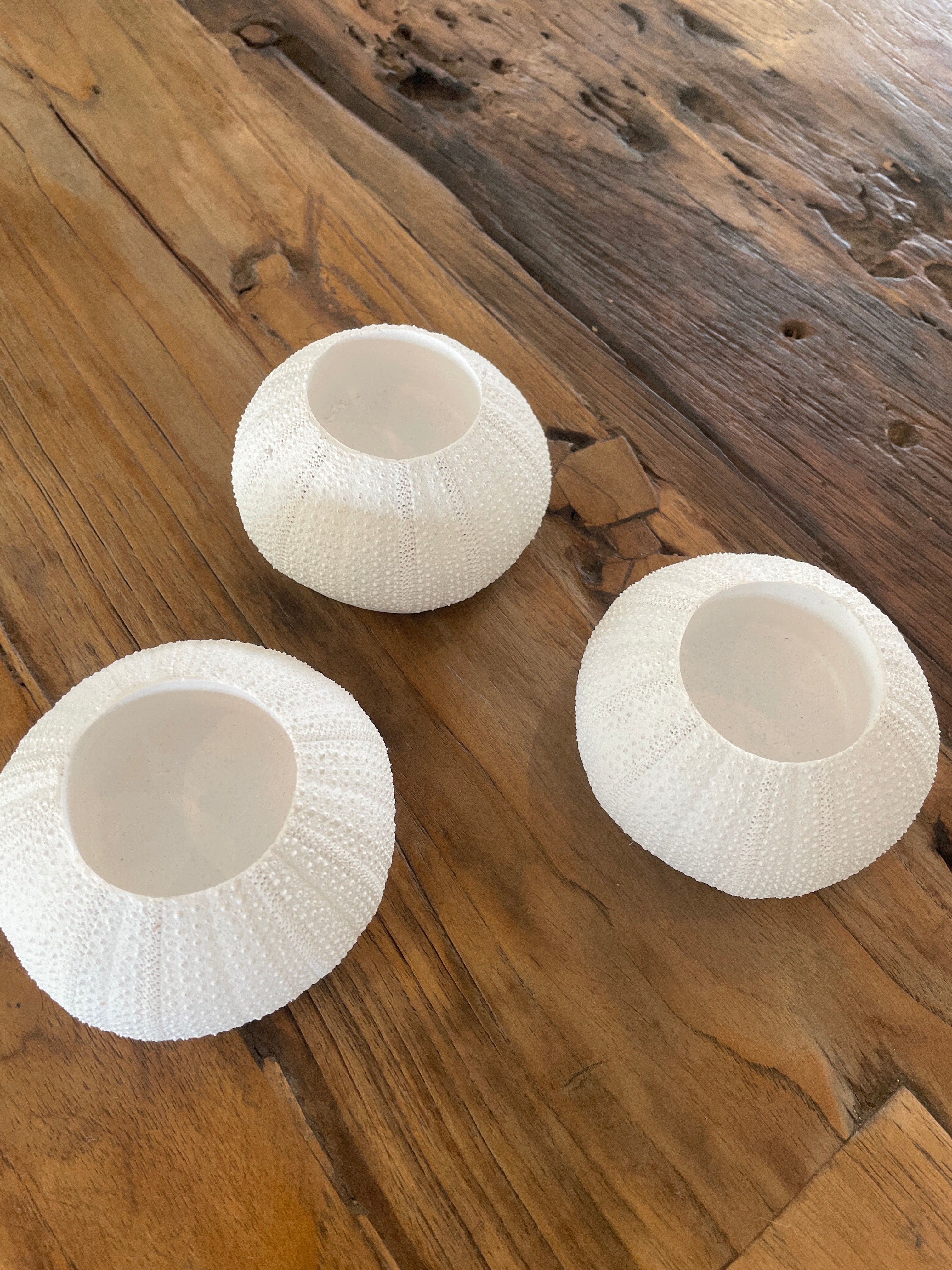 White Sea Urchin Tea Lights