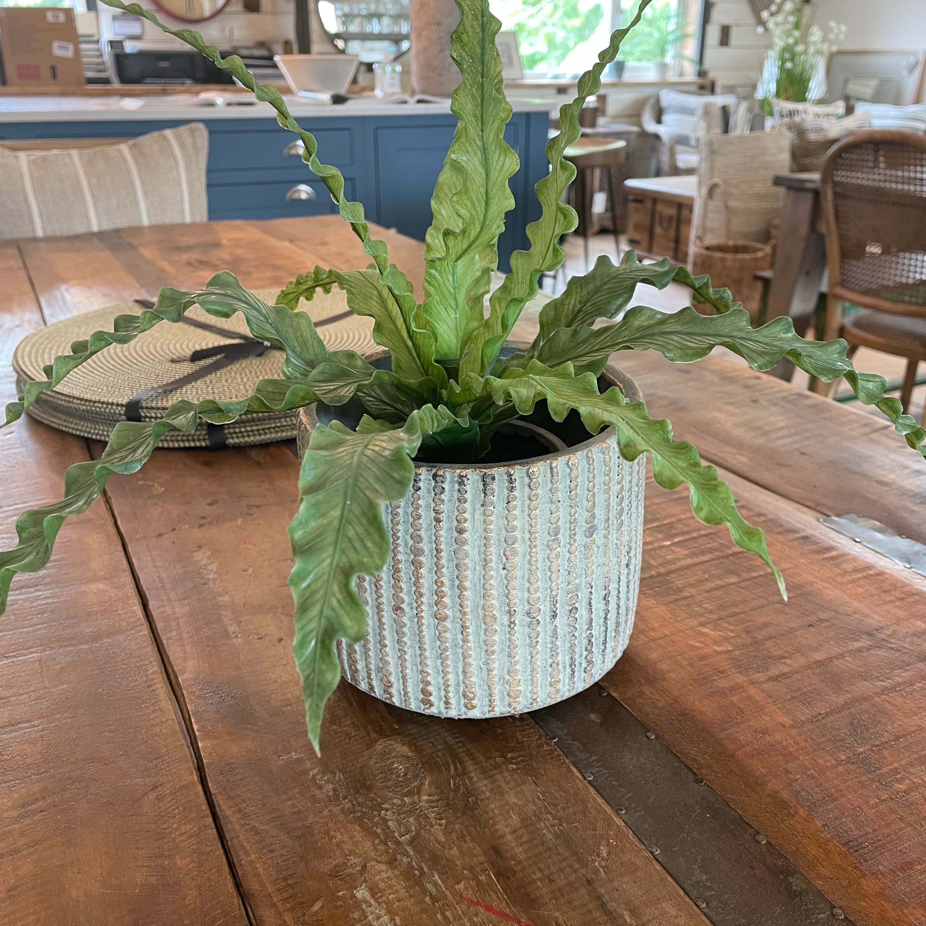 Cement Pot Planter